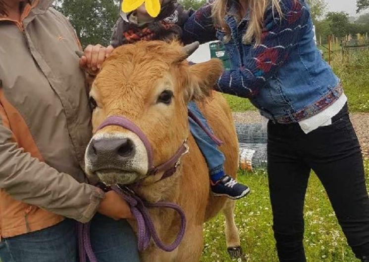 La petite ferme naturailes