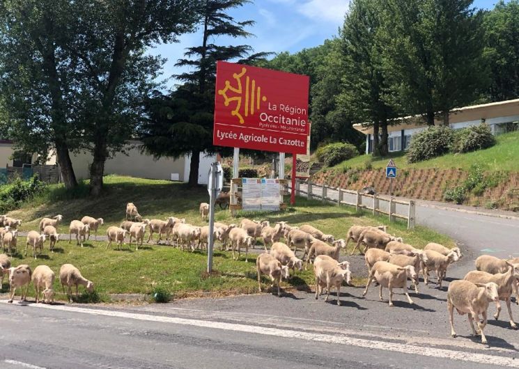 Lycée agricole La Cazotte