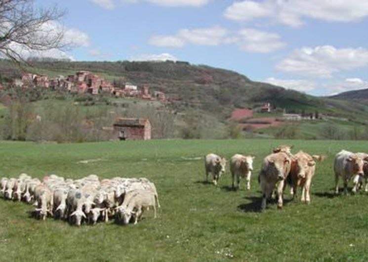 Lycée agricole La Cazotte