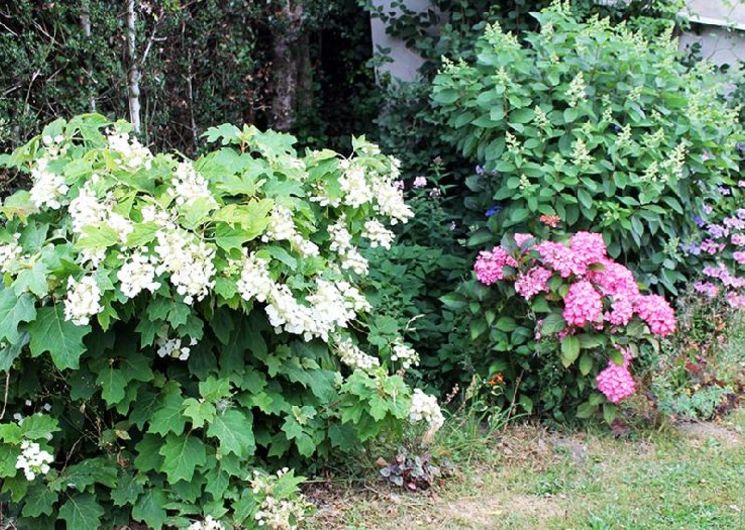 VISITE du jardin de Galinières