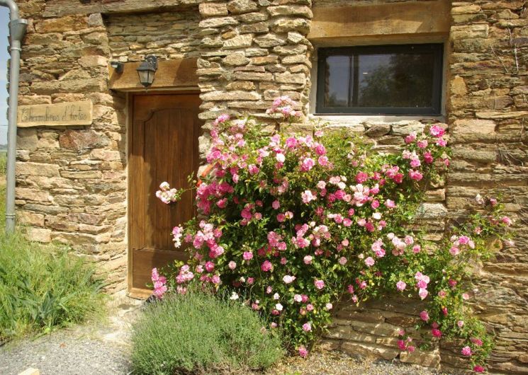 Maison d'hôtes de la Loubière