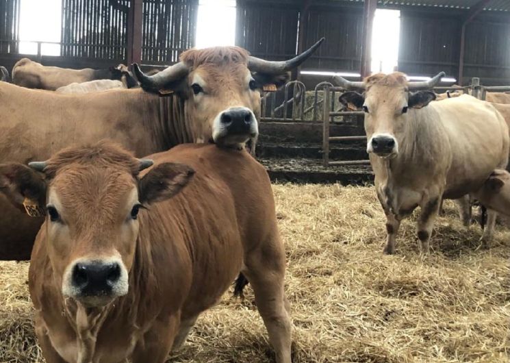 Visite à la ferme Chez Mathieu