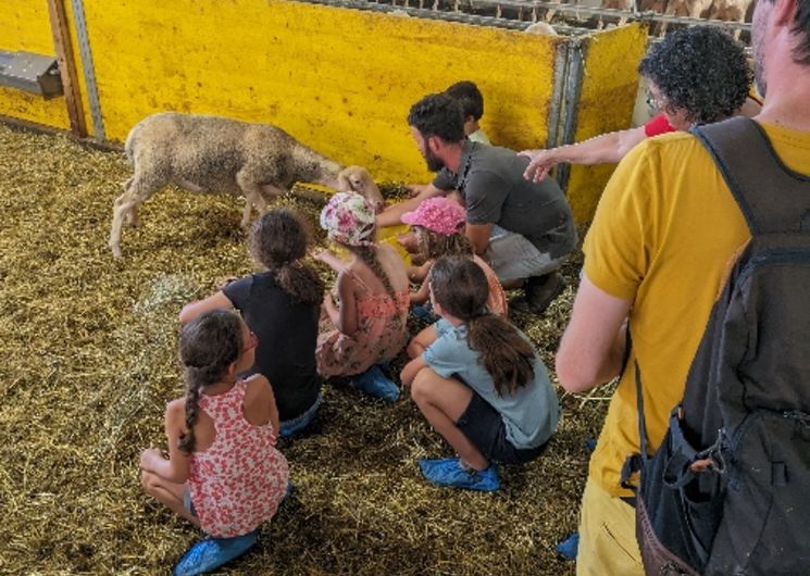 Visite à la ferme Chez Alice et Sylvain