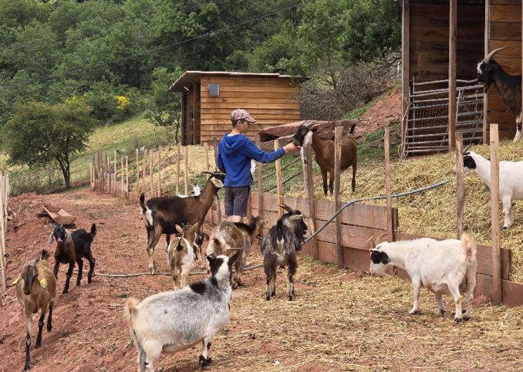 Visite à la ferme Chez Séverine et Daniel