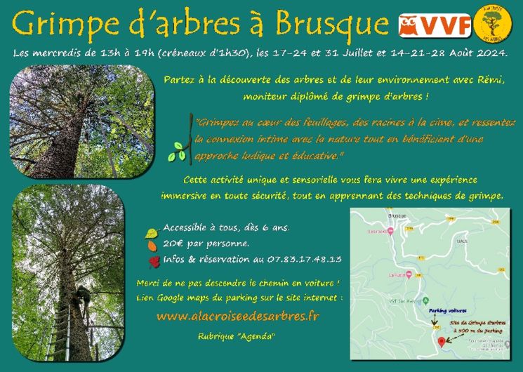 Grimpe d'arbres, ludique et sensoriel