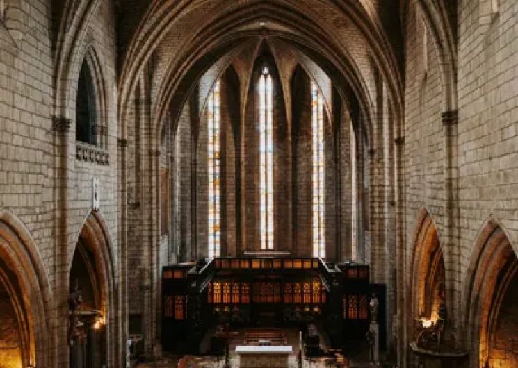 Visite guidée de la collégiale Notre-Dame