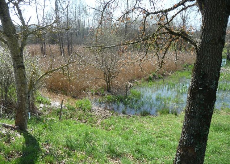 Visite commentée du marais de Montaris