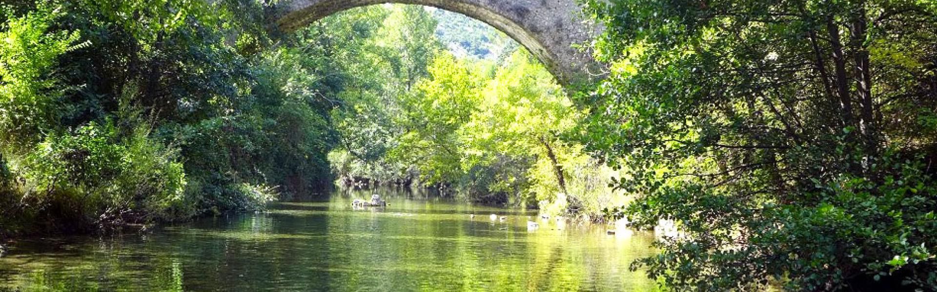 Une Louve Je Vis Sous L Antre D Un Rocher