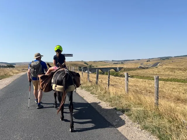 Les ânes de Monédies 