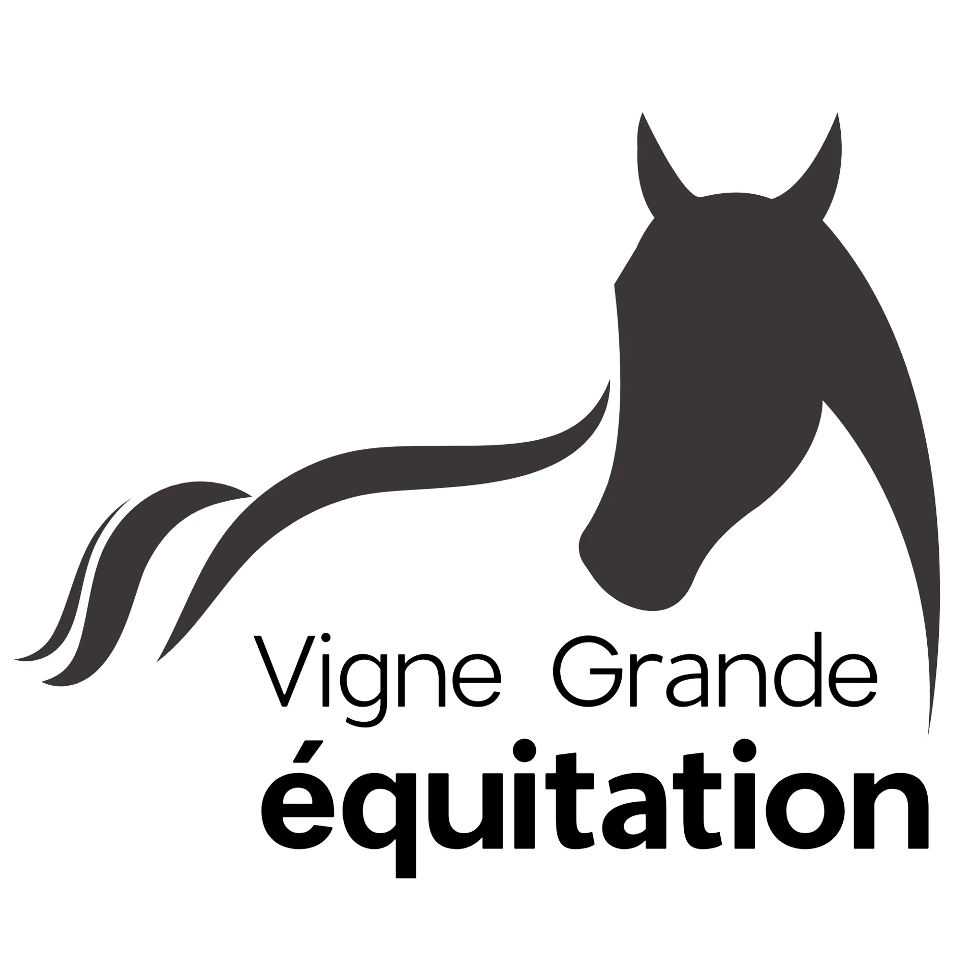Vigne Grande Equitation 