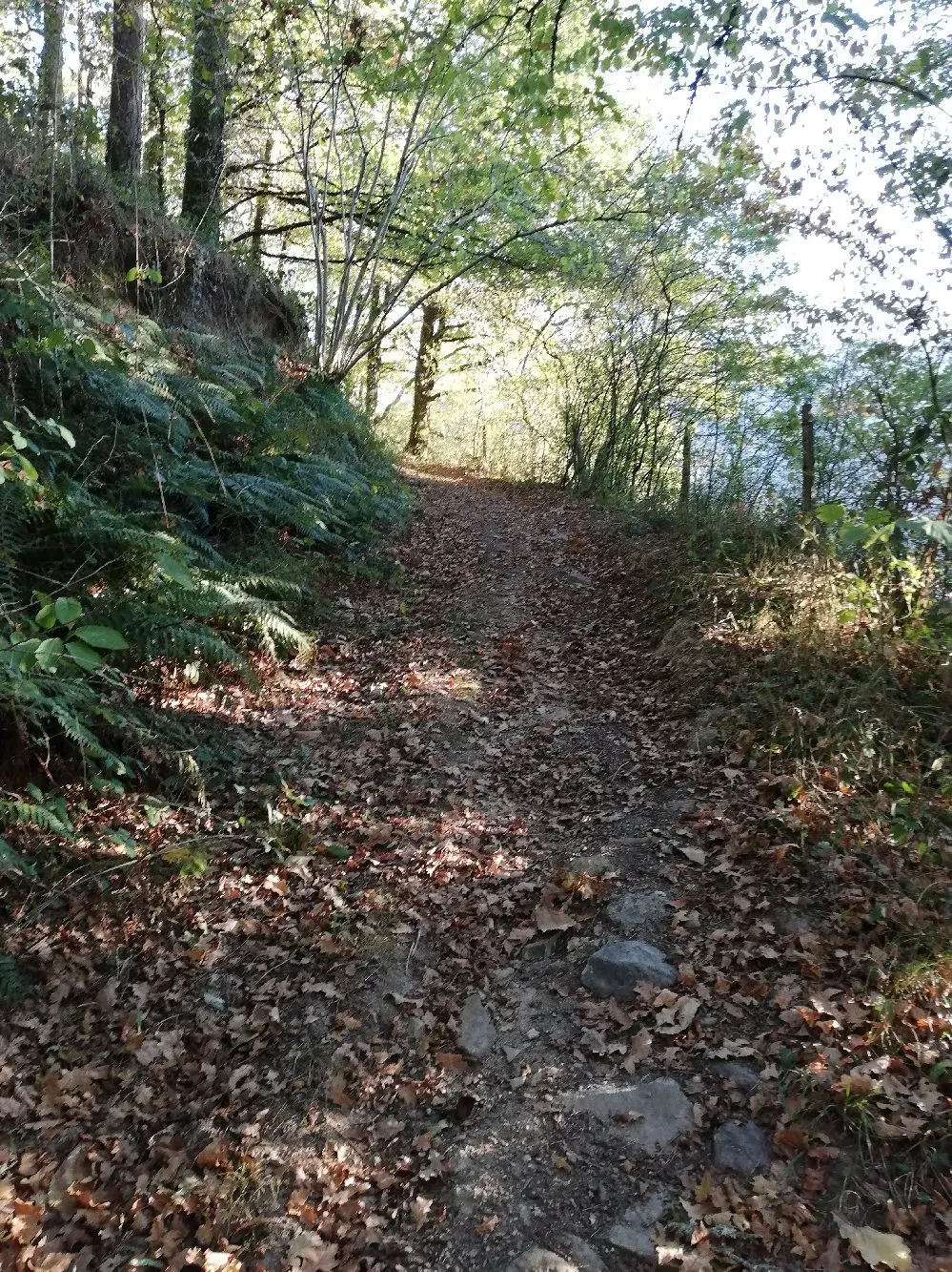 Sortie randonnée pédestre - Autour de Brommes 