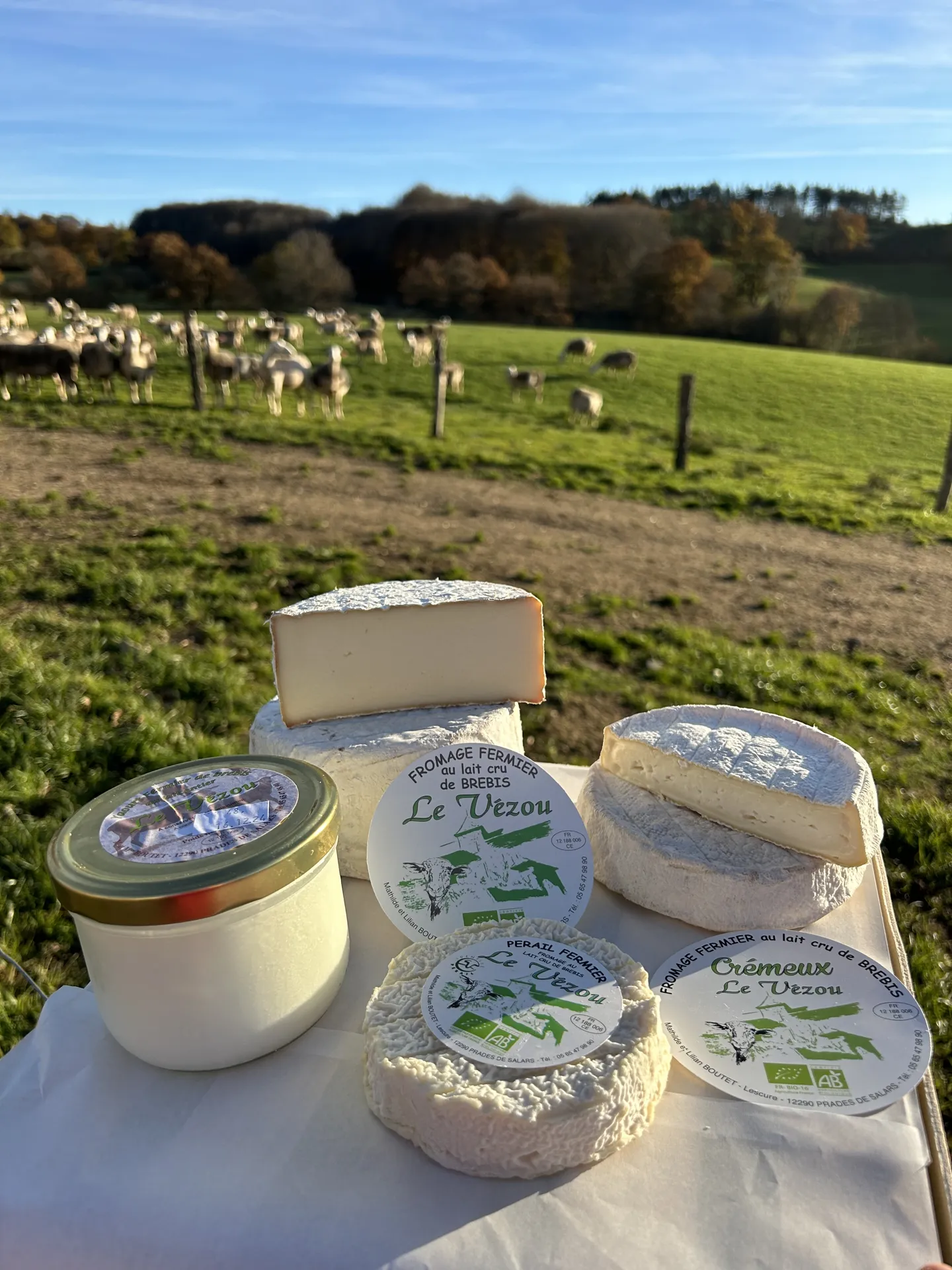 Fromagerie Le Vézou - GAEC BOUTET-PUECH 