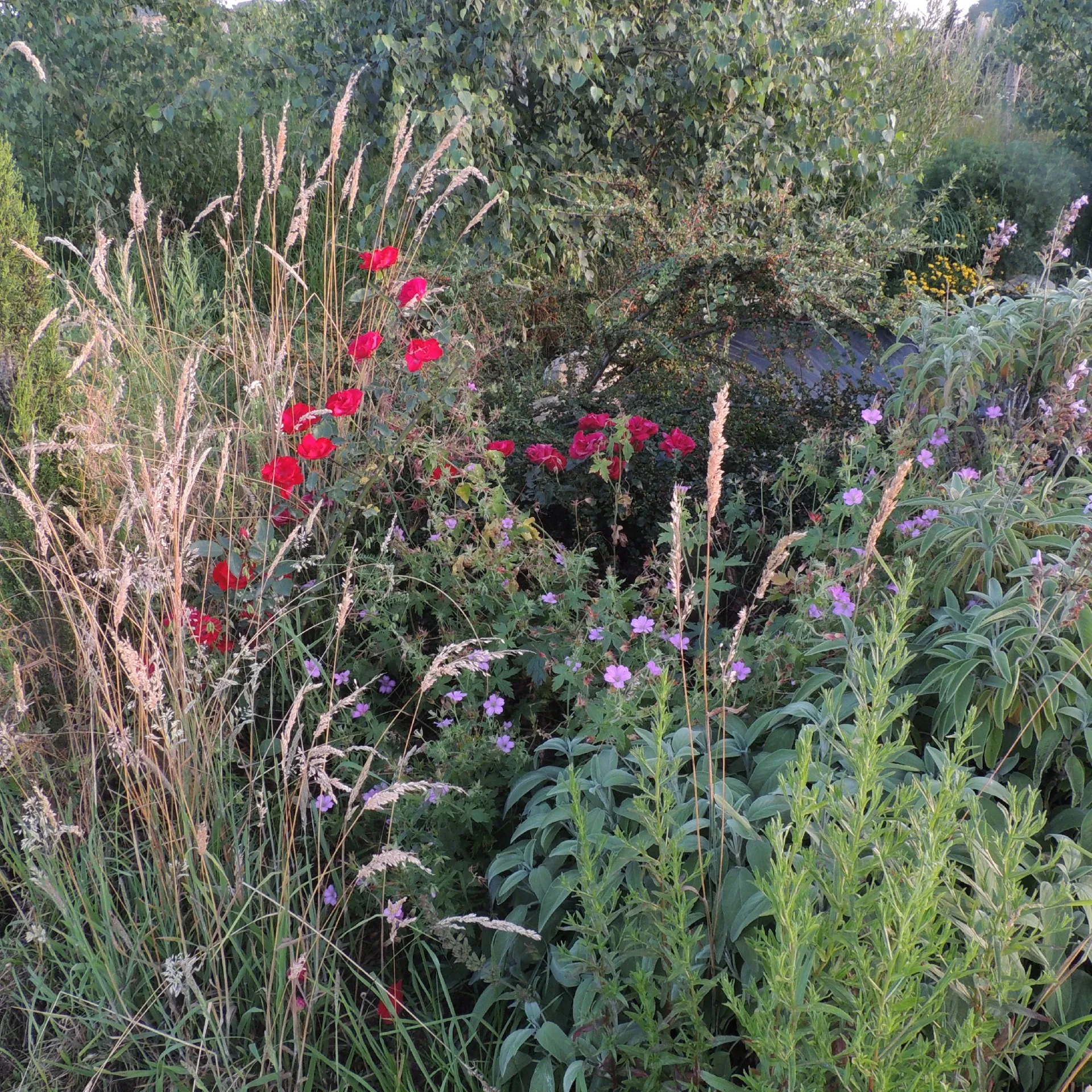 Forêt jardin du Landassou 