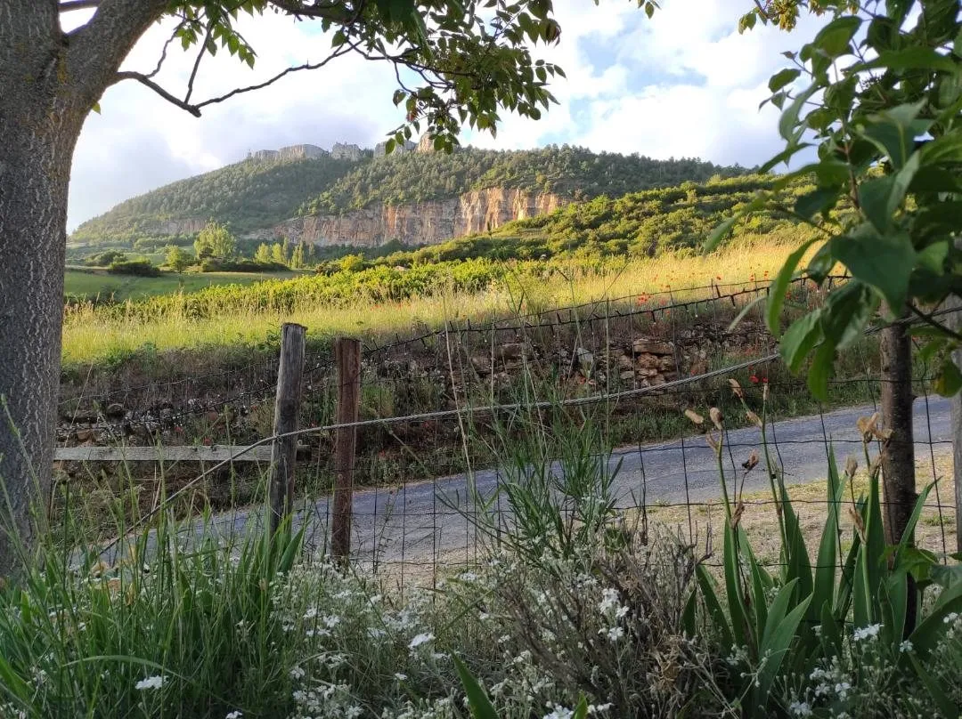 Gîte Peira Levada - 1 