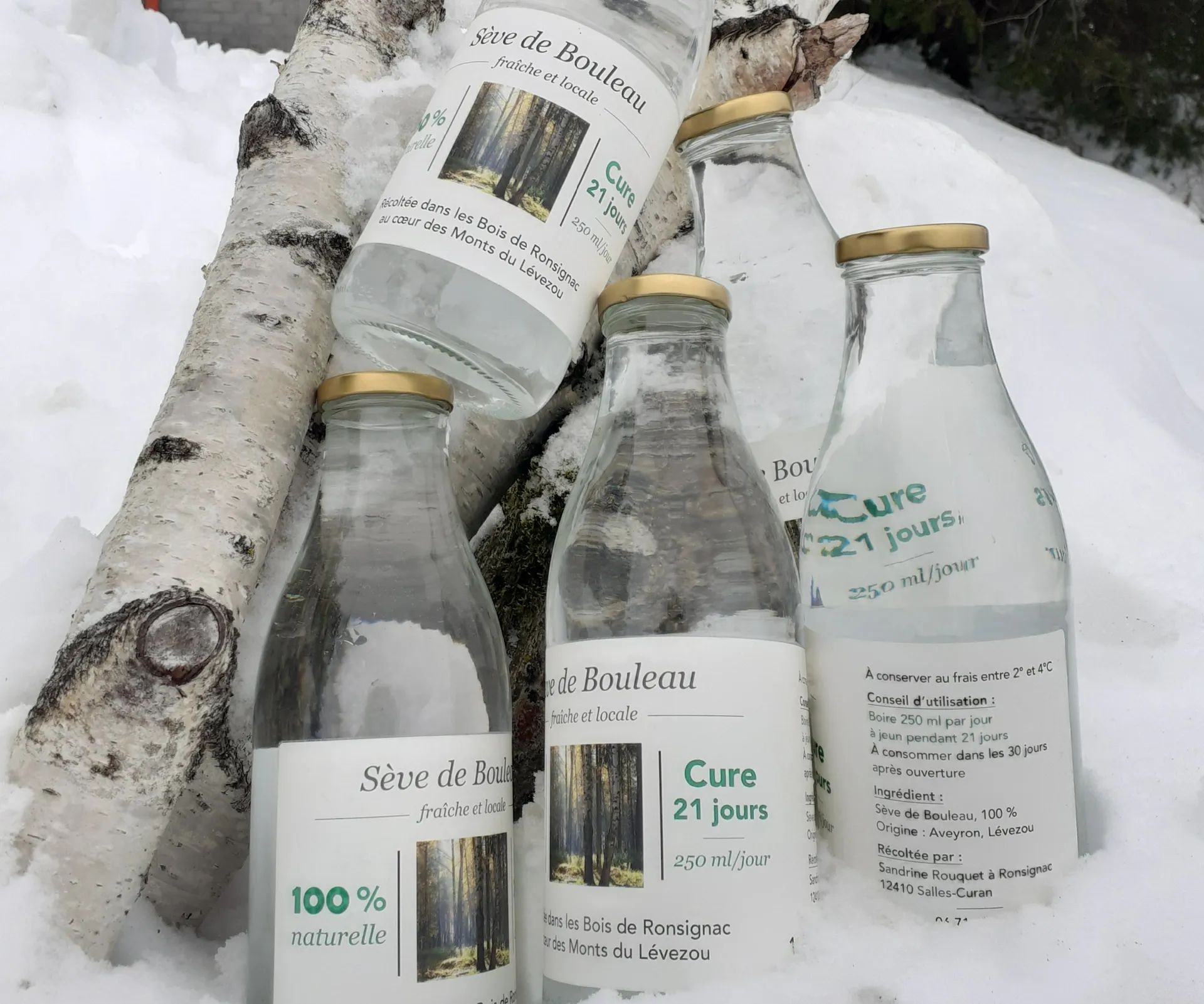 Séve de Bouleau fraîche et locale 