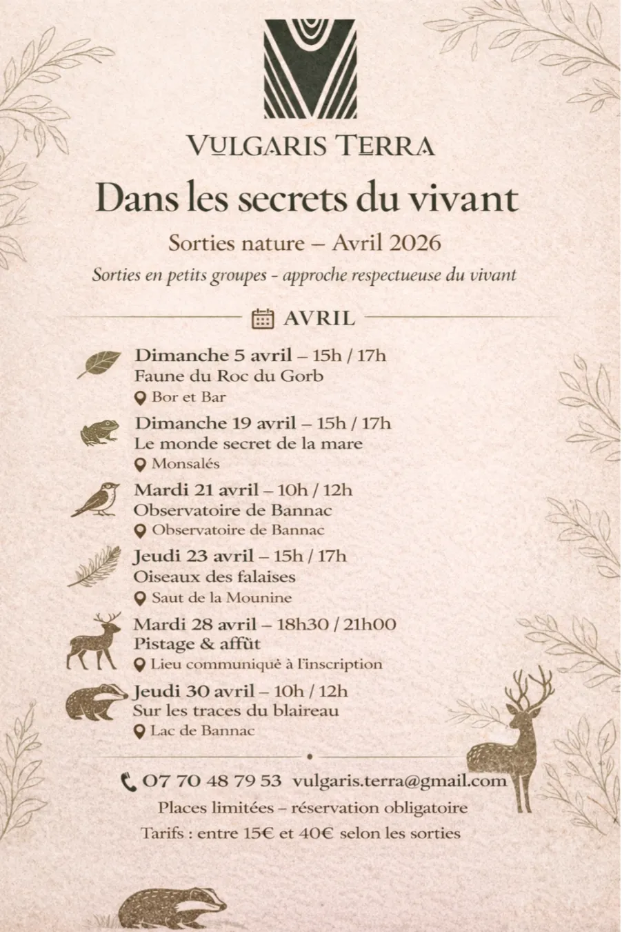 Sortie nature : dans les secrets du vivant - Oiseaux des falaises 