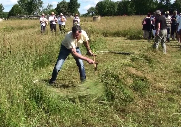 Concours de Fauchage à la faux à Nigresserre 