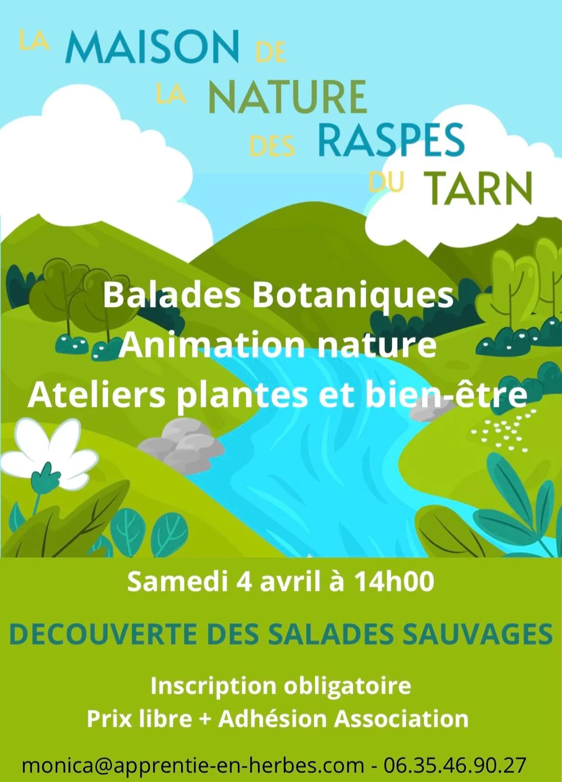 Balade botanique - Découverte des salades sauvages 