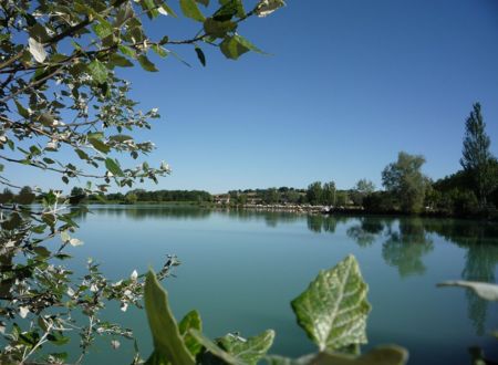  LAC DE L'ISLE JOURDAIN 