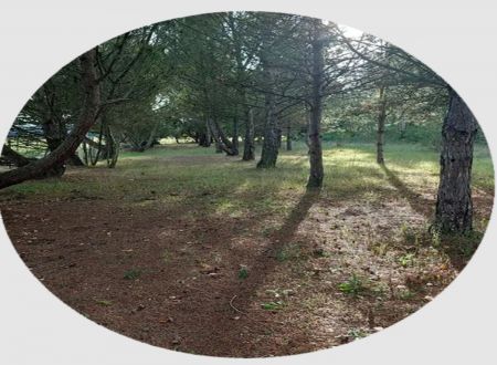 AIRE DE SERVICE CAMPING-CARS DE LA MATARELLE 