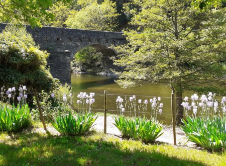 AIRE DE SERVICE CAMPING-CAR LE CHANTEMERLE 