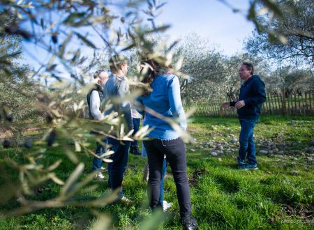 Visite guidée gourmande du Domaine de l'Oulivie 