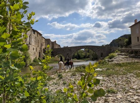 FERME ÉQUESTRE DU PLO 