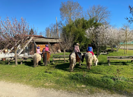 FERME EQUESTRE PEDAGOGIQUE DES 2 RIVIERES 