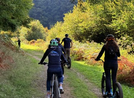 ACTIVITES PLEINE NATURE LES CAMMAZES/SAINT-FERREOL - STEPHANE CORNET 