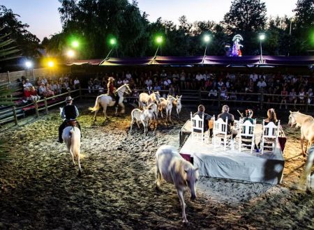 CABARETS EQUESTRES DE CAMARGUE 