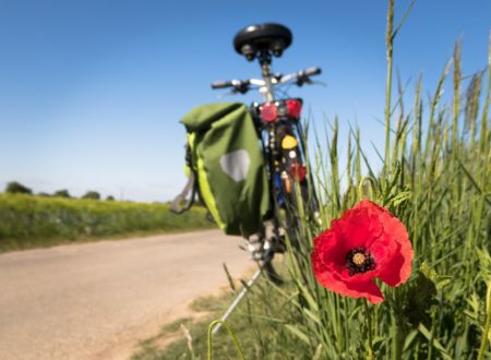 RÊVE DE VÉLO 