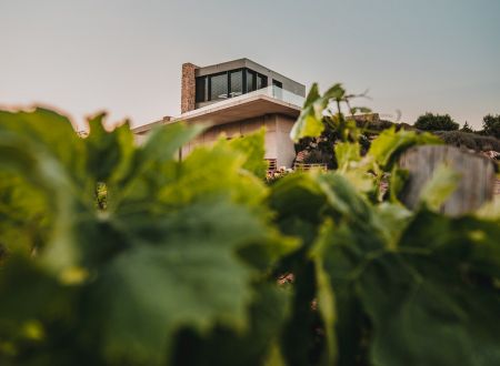 DOMAINE DE LA ROCHELIERRE 