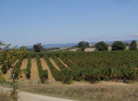 BLANQUETTE DE LIMOUX 