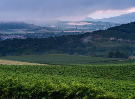 DOMAINE DE MATIBAT 