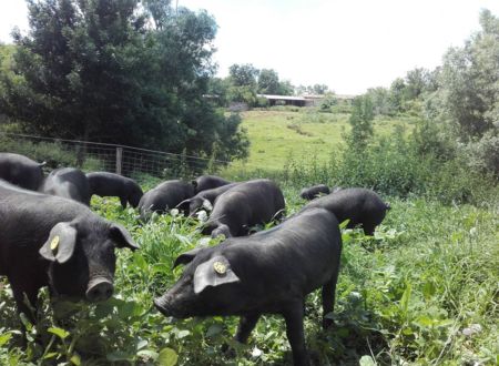 FERME DE LA BRACADELLE 