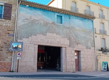 DOMAINE PECH DE SAINT-PAUL 