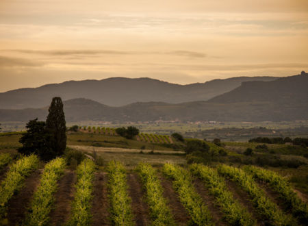 TOURS & TERROIRS D'ANIANE 