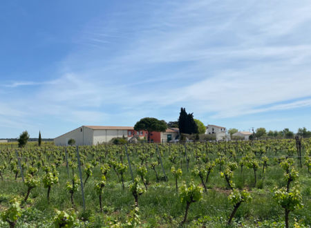 LES DOMAINES DE PETIT ROUBIE 