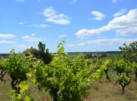 DOMAINE LA FONT DES ORMES 