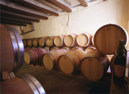 SCEA DOMAINE DE MUJOLAN 