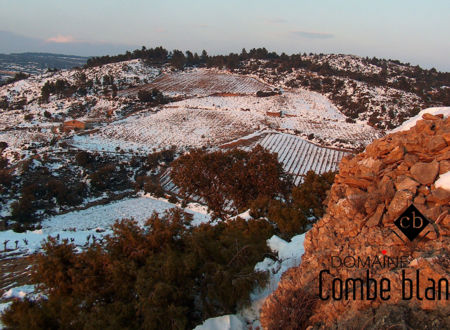 DOMAINE LA COMBE BLANCHE 