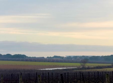 DOMAINE DE CAUSSE 