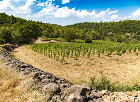 DOMAINE DE BELLEFONTAINE 