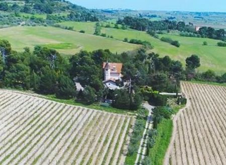 DOMAINE ST EUGENE - LES 3 TOMATES 