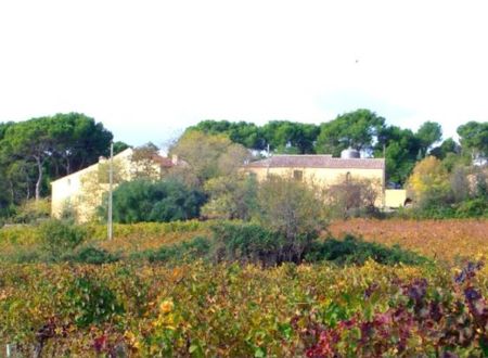 DOMAINE DE MAIRAN 