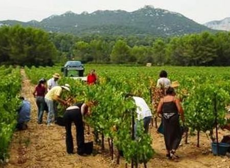 DOMAINE DE LA SALADE SAINT-HENRI 