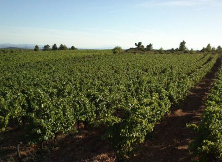 DOMAINE PECH DE LUNE 