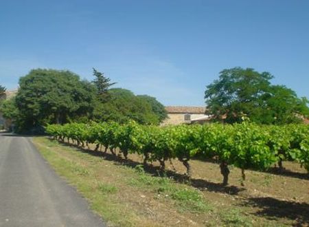 DOMAINE LES MONTARELS 