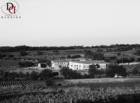 DOMAINE DAURION 