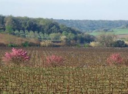 DOMAINE CLOS ROCA 